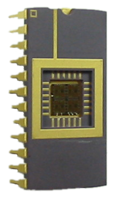 Thermal Training Test Chip