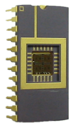 [PN0308] Thermal Training Test Chip